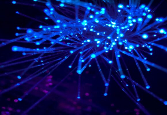 The future of crypto payments won’t include on-ramps or bridges, Fun CEO says
