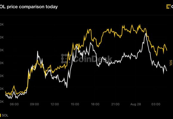 Bitcoin under $80,000, solana leads majors higher before Warsh’s Jackson Hole debut