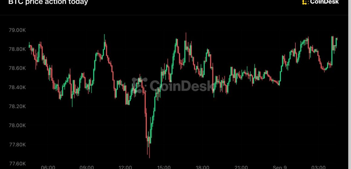Bitcoin recovers toward $79,000 as Zcash records a $500 million ETF haul