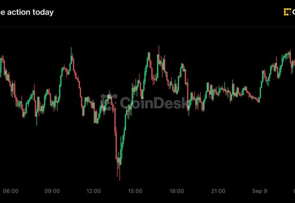 Bitcoin recovers toward $79,000 as Zcash records a $500 million ETF haul