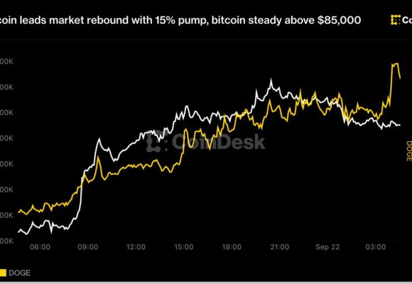 Dogecoin leads market rebound with 15% pump, bitcoin steady above $85,000