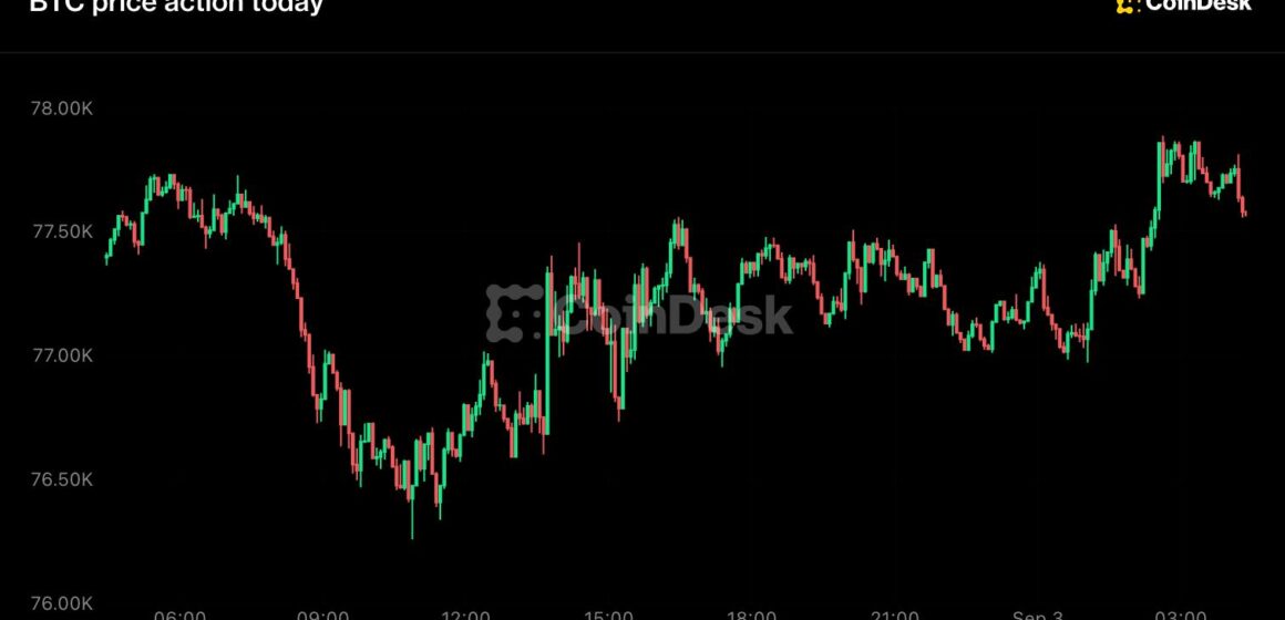 Bitcoin back above $77,500, XRP leads majors as Fed hike odds slide to 62%