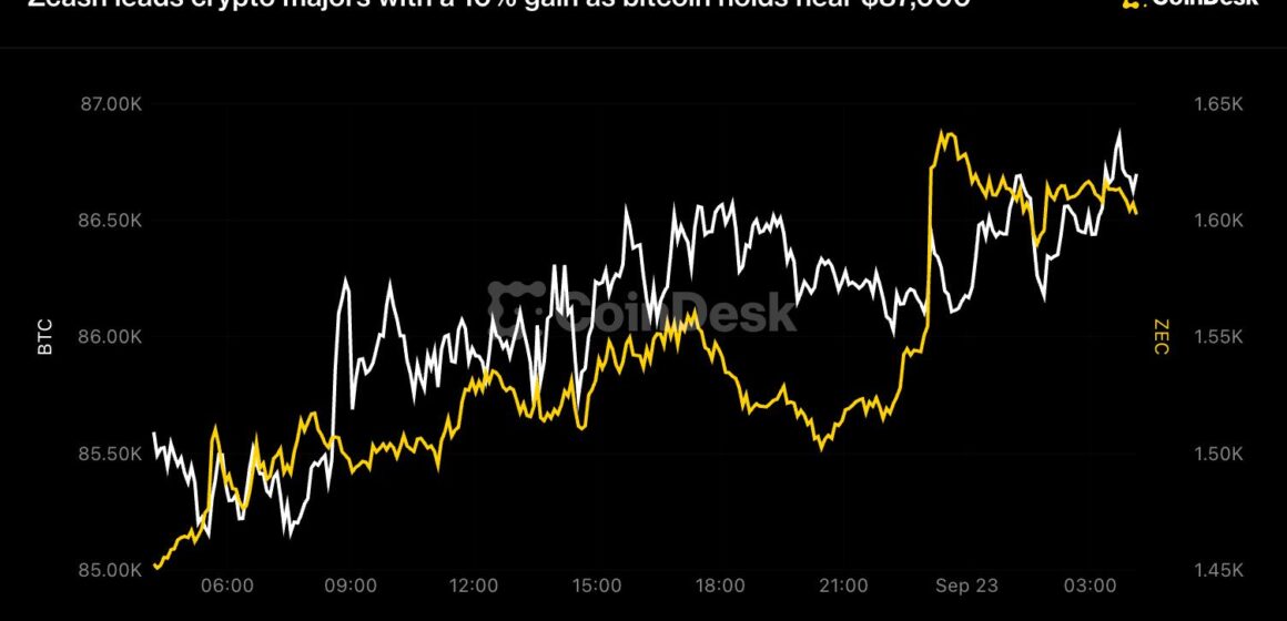 Zcash leads crypto majors with a 10% gain as bitcoin holds near $87,000