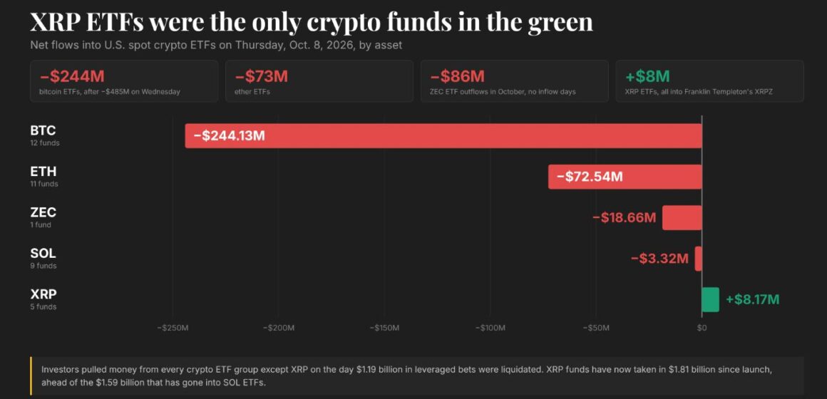 Live updates: XRP ETFs the only ones in green as BTC, ETH, ZEC funds post outflows