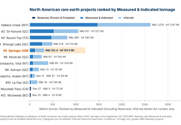 Volta doubles Springer rare earths, eyes 2027 study